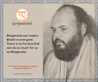 H.H. Shrimat Parijnanashram Swamiji III